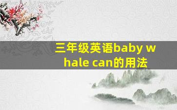 三年级英语baby whale can的用法